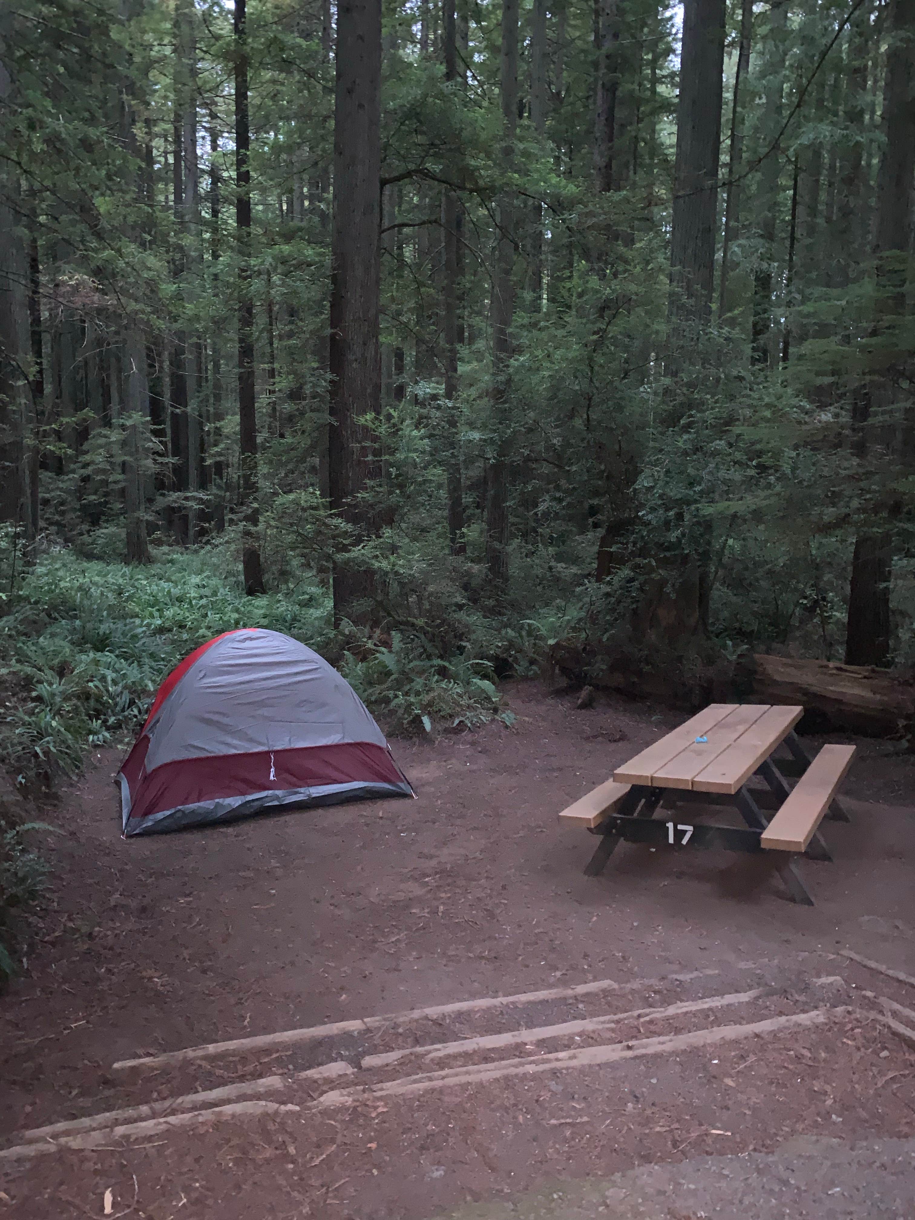 cheryl's photo at Carl G. Washburne Memorial State Park Campground near Waldport, OR