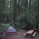 Review photo of Carl G. Washburne Memorial State Park Campground by cheryl , November 20, 2025