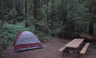 cheryl's photo at Carl G. Washburne Memorial State Park Campground near Yachats, OR