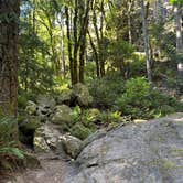 Review photo of Cascadia State Park Campground by Rachel M., August 15, 2026