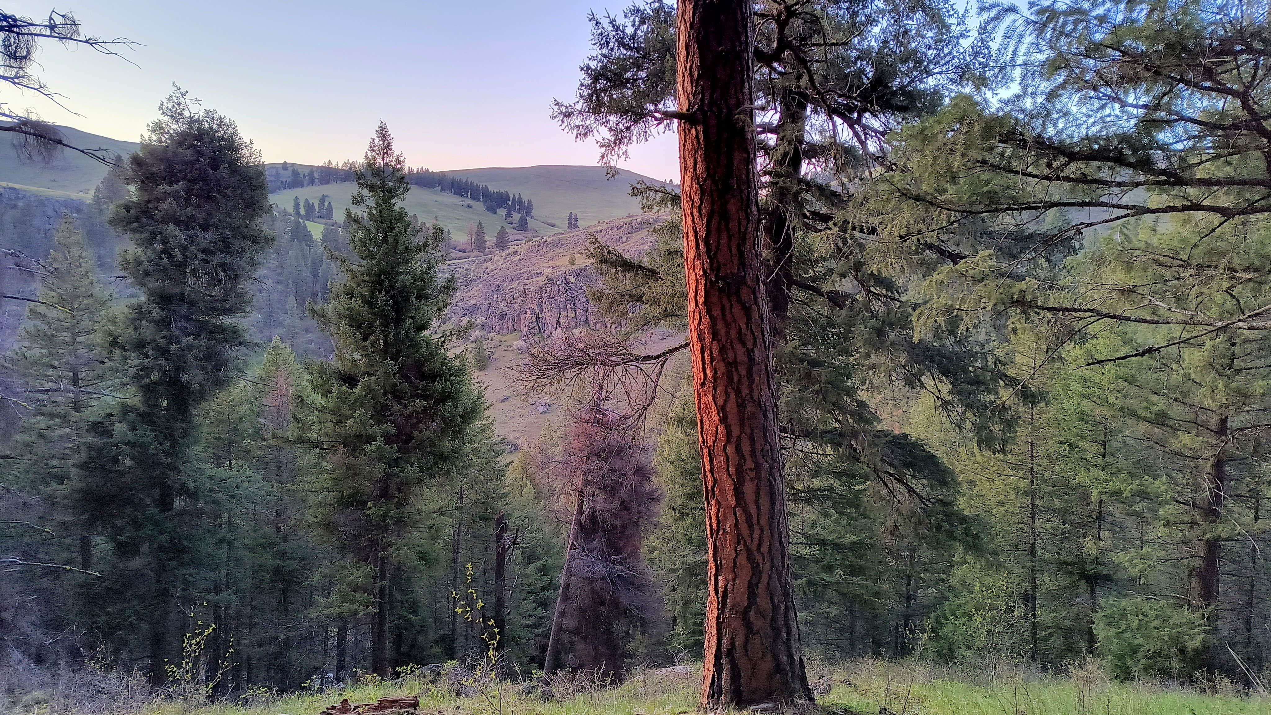 Camper-submitted photo at Catherine Creek State Park Campground near Cove, OR