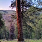 Review photo of Catherine Creek State Park Campground by Beth M., April 25, 2024