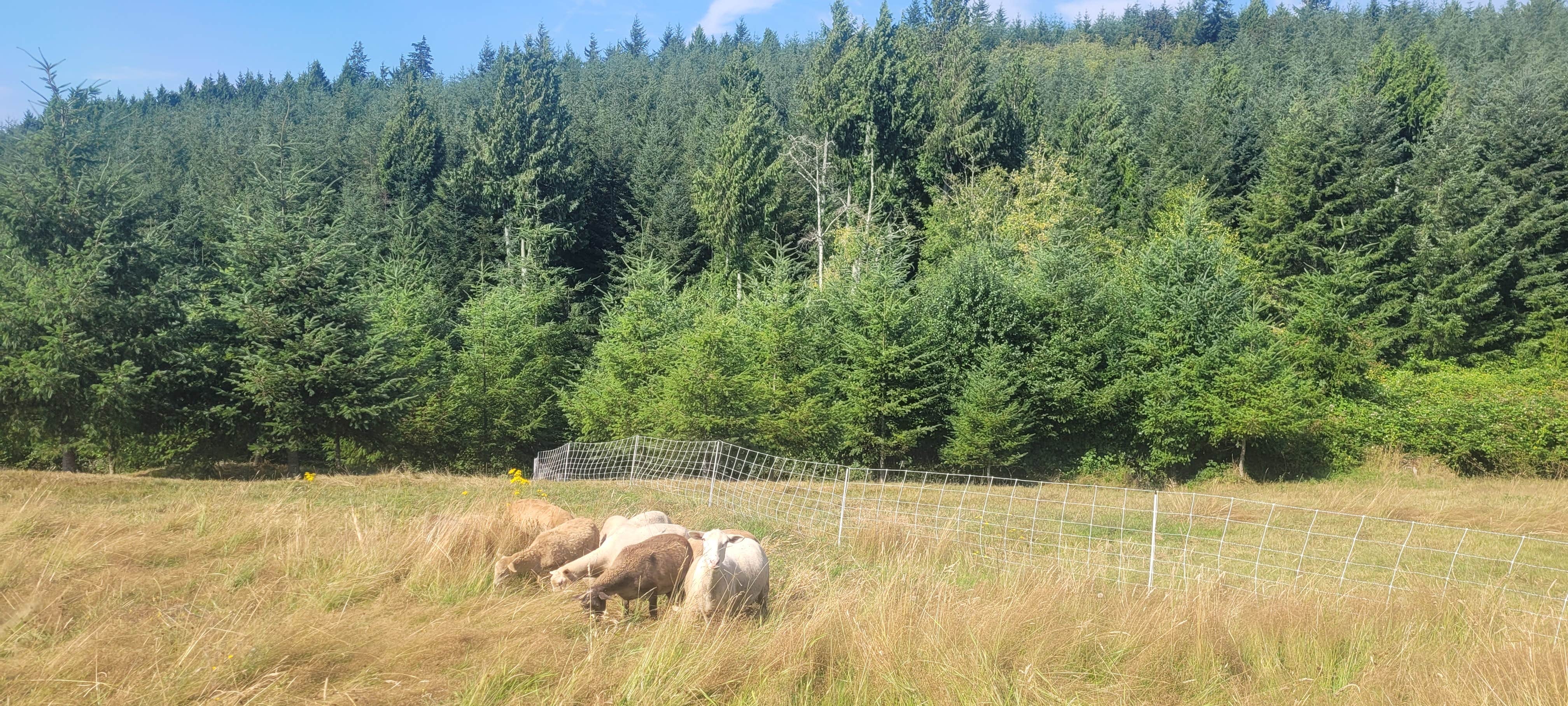 Camper-submitted photo at Clatskanie City Park near Clatskanie, OR