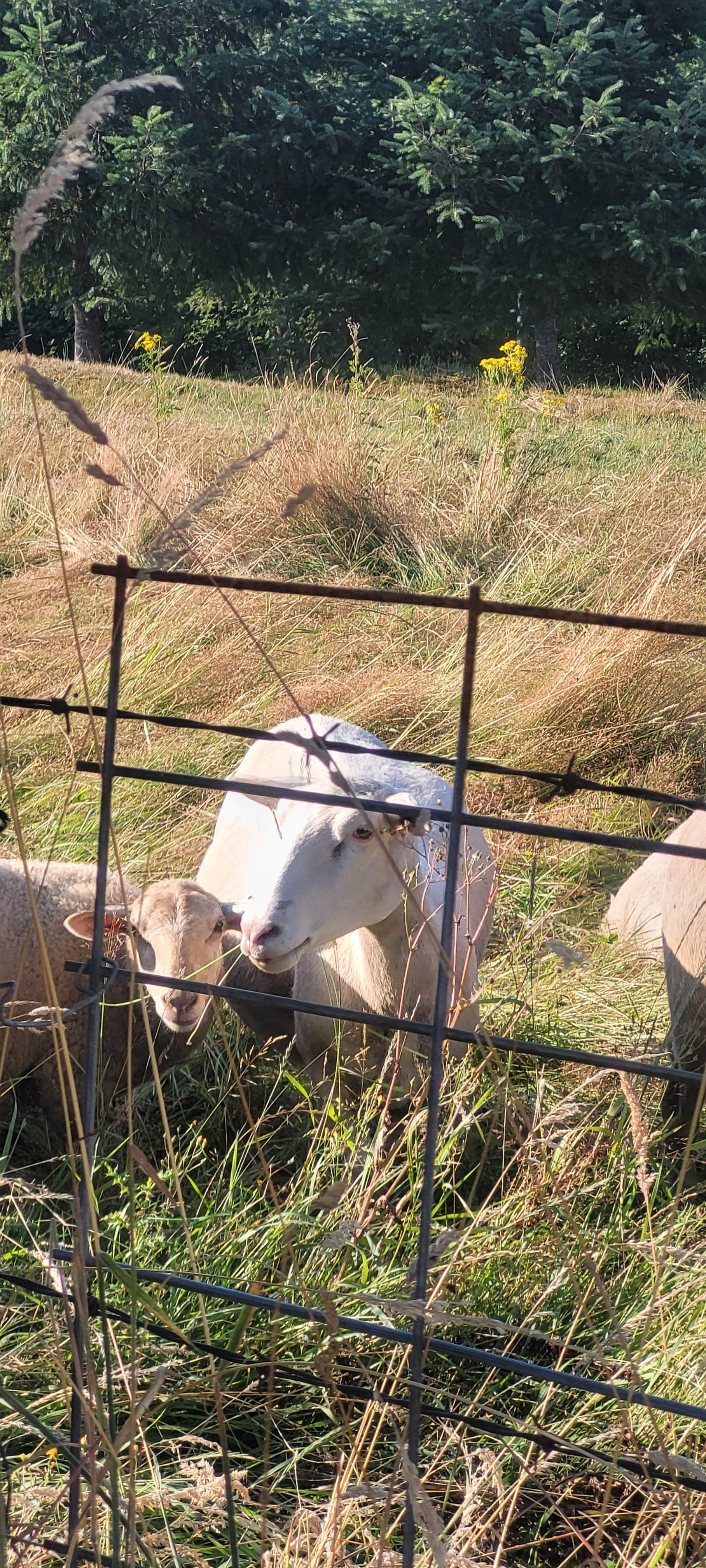 Camper-submitted photo at Clatskanie City Park near Clatskanie, OR