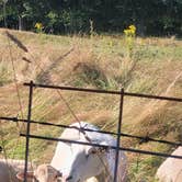 Review photo of Clatskanie City Park by Steve M., August 5, 2024