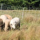 Review photo of Clatskanie City Park by Steve M., August 5, 2024