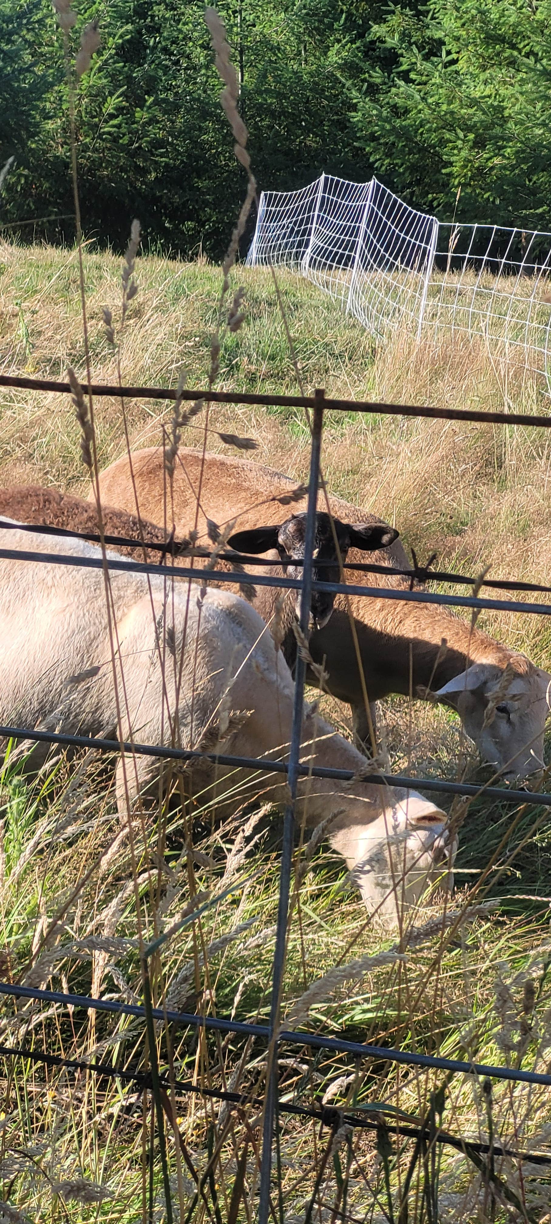 Camper-submitted photo at Clatskanie City Park near Clatskanie, OR