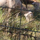 Review photo of Clatskanie City Park by Steve M., August 5, 2024