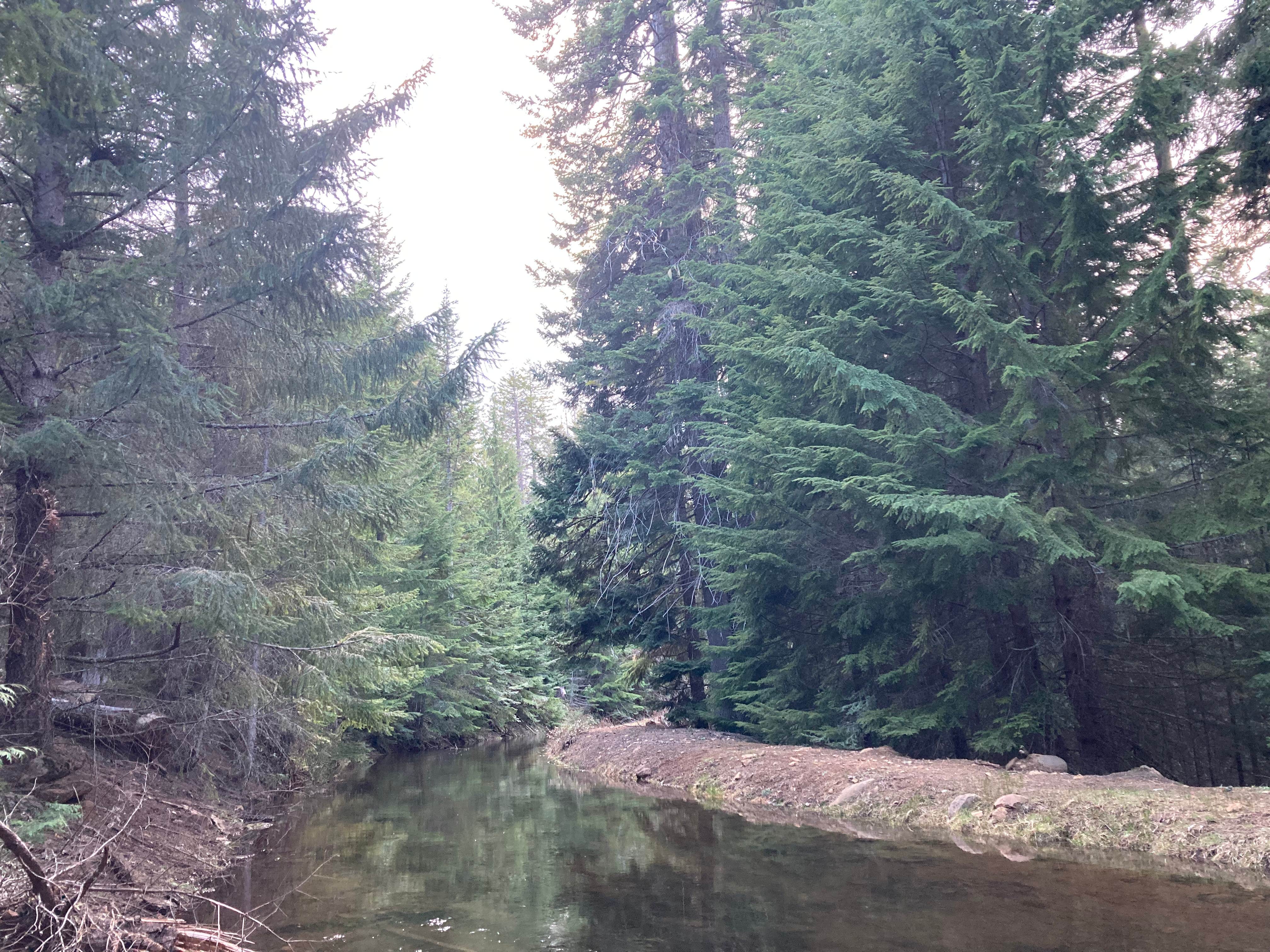 Camper-submitted photo at Clear Creek Crossing Campground near Government Camp, OR