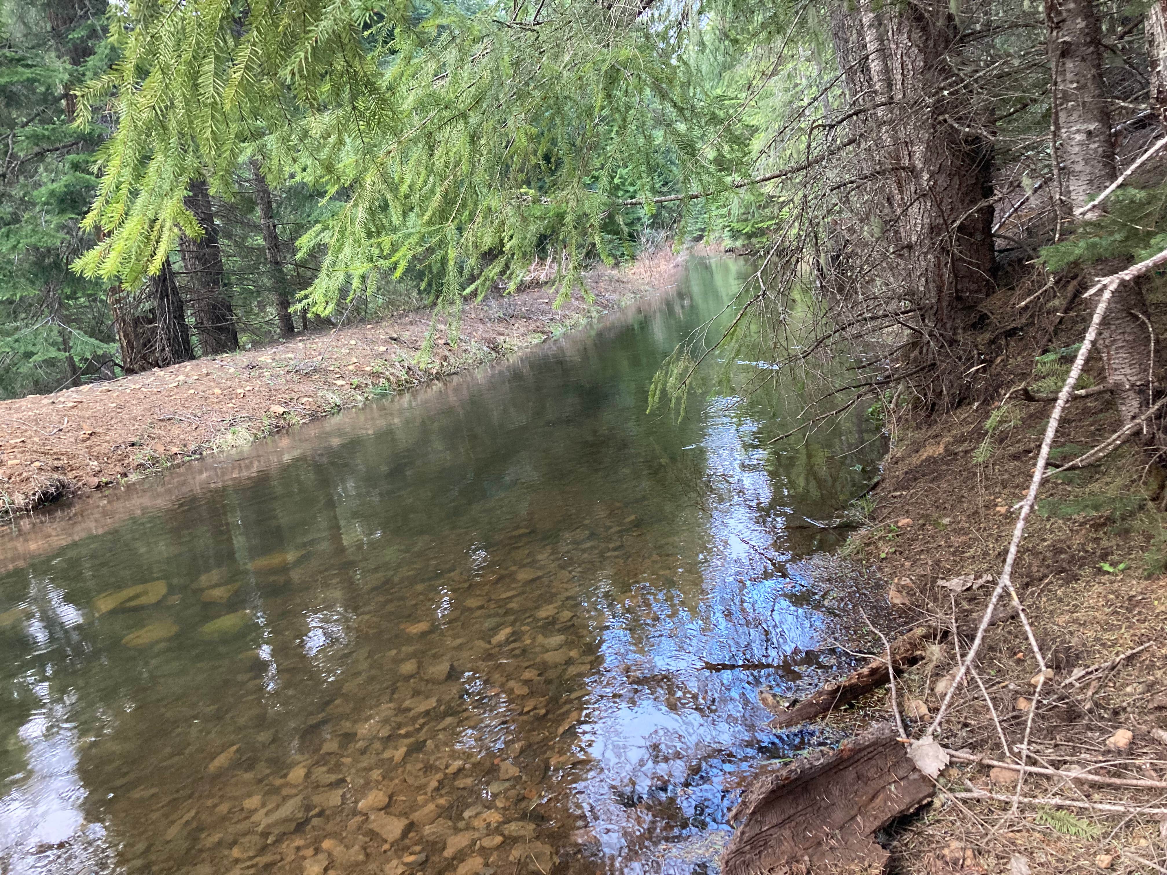 Camper-submitted photo at Clear Creek Crossing Campground near Government Camp, OR