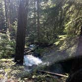 Review photo of Clearwater Falls Campground by Liz , September 15, 2024