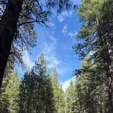 Review photo of Cold Springs Campground (OR) by Rob , April 8, 2026