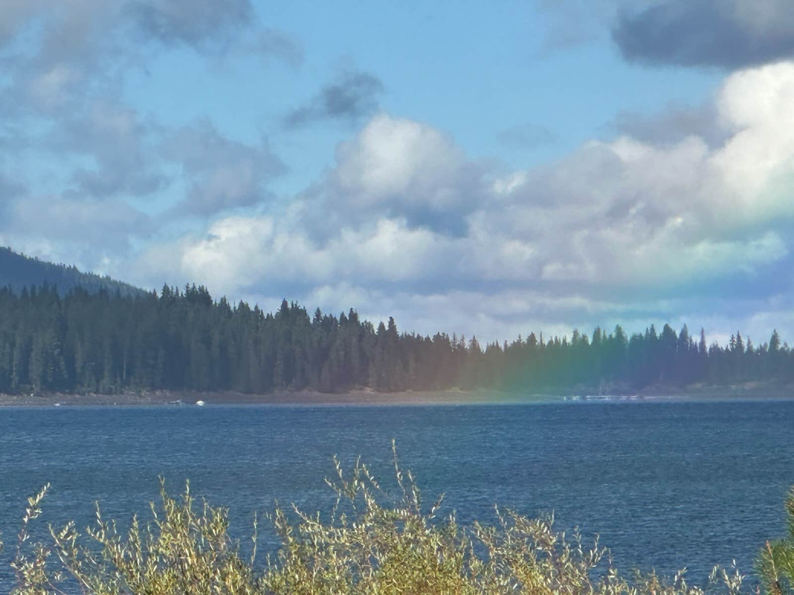 Camper submitted image from Contorta Flat Campground - 3