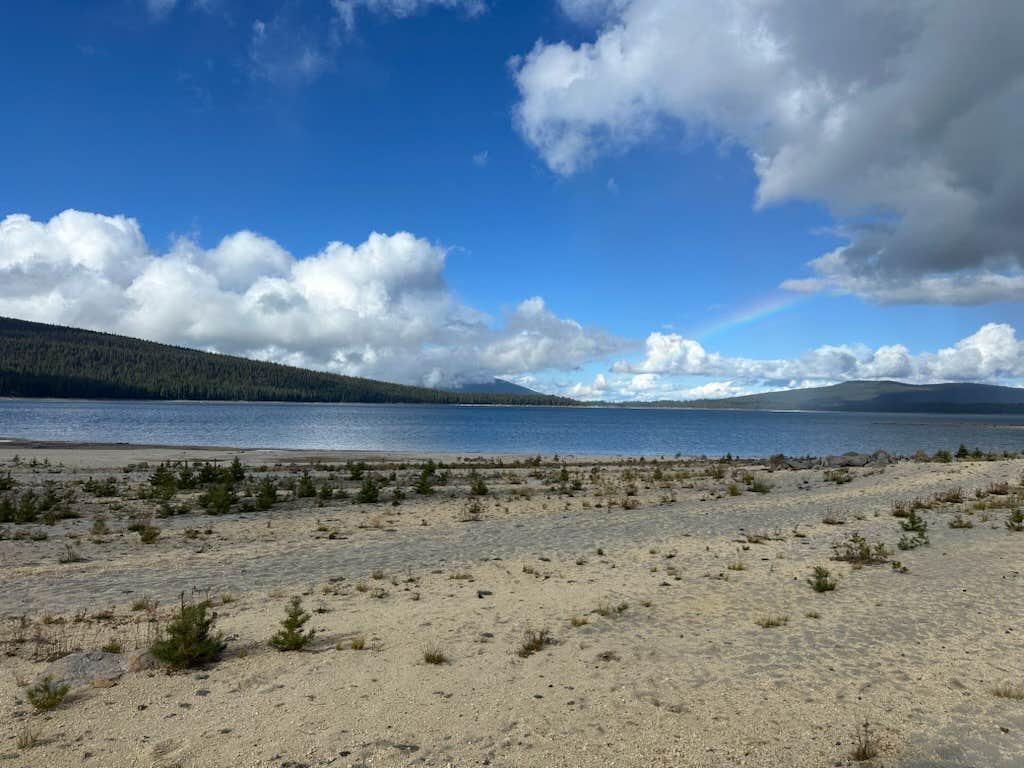 Camper submitted image from Contorta Flat Campground - 2