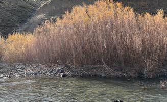 Matt D.'s photo of camping with pets at Lone Tree Campground — Cottonwood Canyon State Park near John Day Lock and Dam, Lake Umatilla