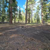 Review photo of Cottonwood Complex by Kiley D., May 24, 2025