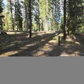 Review photo of Cottonwood Complex by Kiley D., May 24, 2025