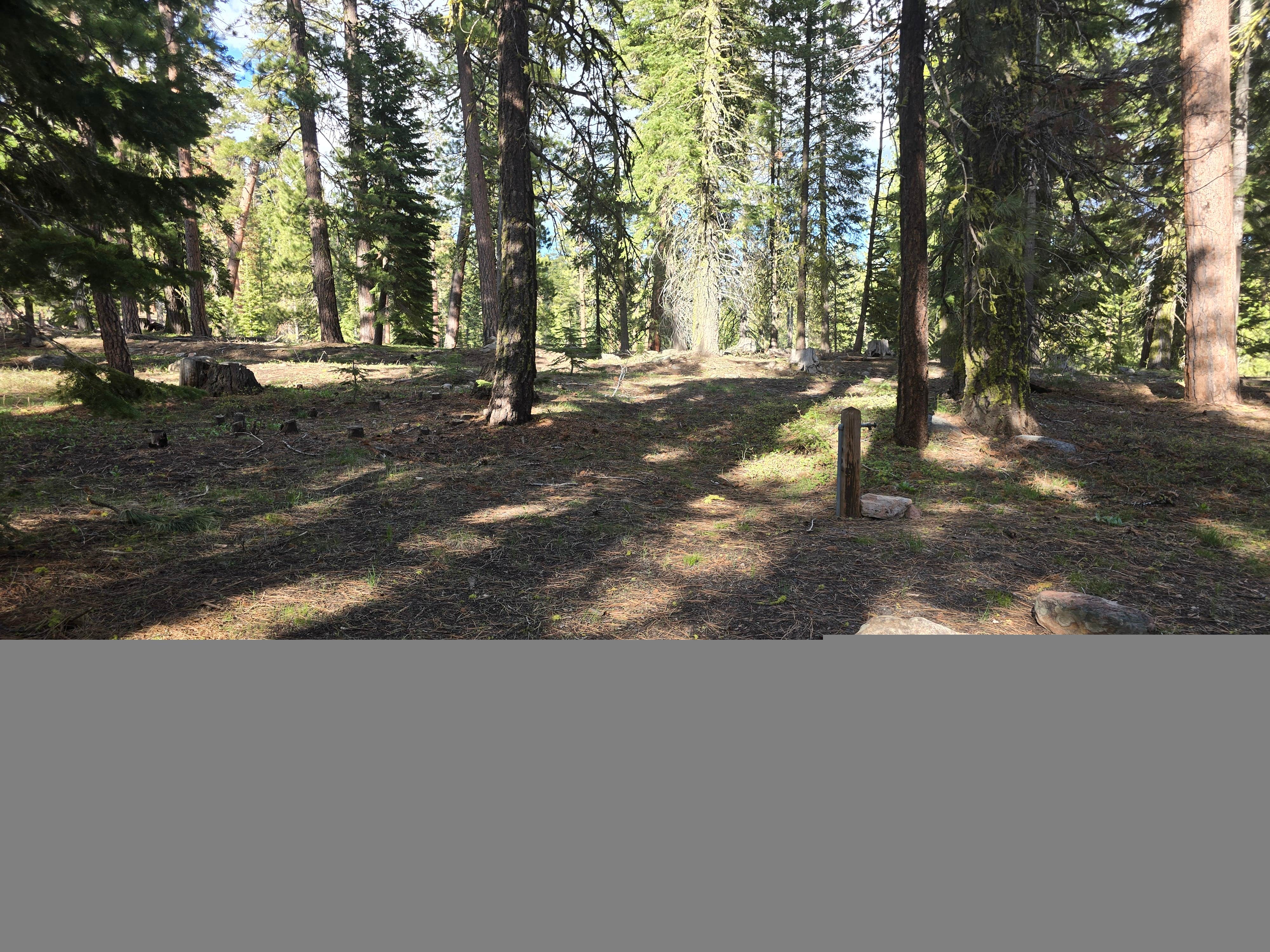 Camper submitted image from Cottonwood Complex - 1