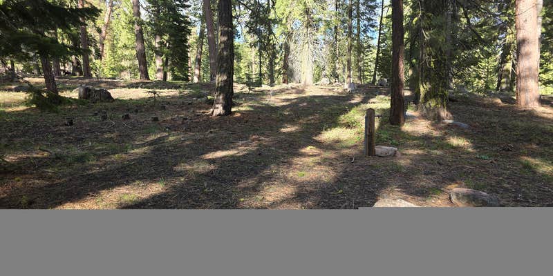 Camper submitted image from Cottonwood Complex