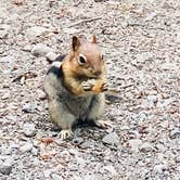 Review photo of Crane Prairie Campground by S. Renae M., August 25, 2025
