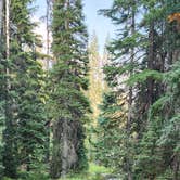 Review photo of Mazama Village Campground — Crater Lake National Park by Jason , September 9, 2024