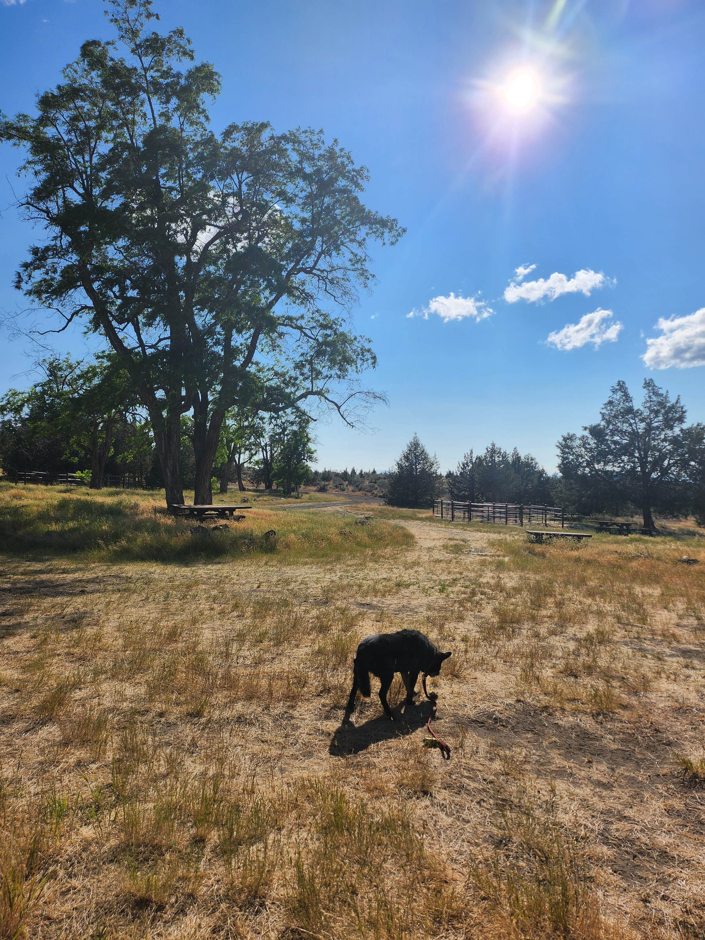 Kelda C.'s photo of a dispersed camping area at Cyrus Horse Camp near Culver, OR