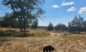 Kelda C.'s photo of a dispersed camping area at Cyrus Horse Camp near Central Oregon