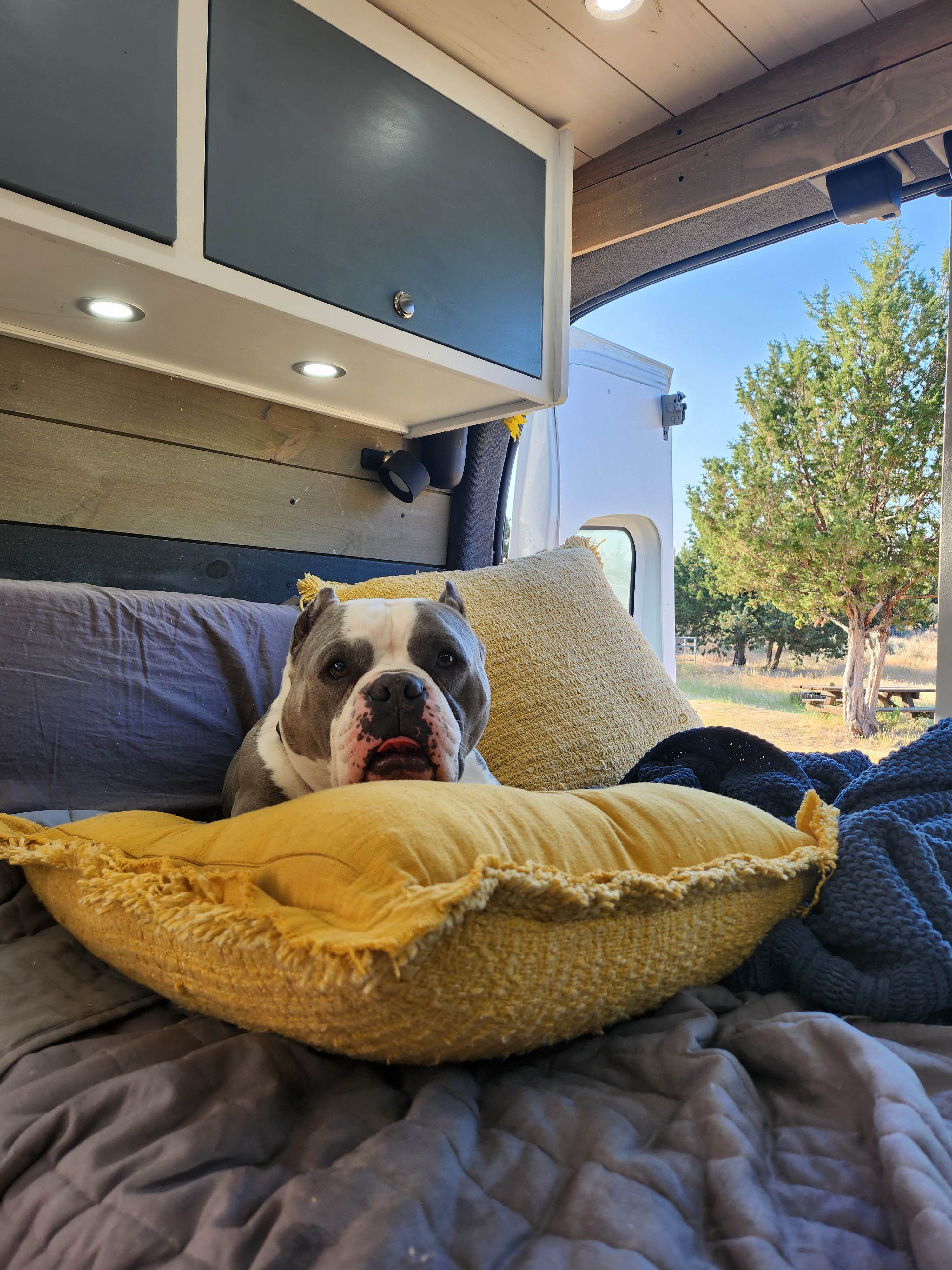 Camper-submitted photo at Cyrus Horse Camp near Culver, OR