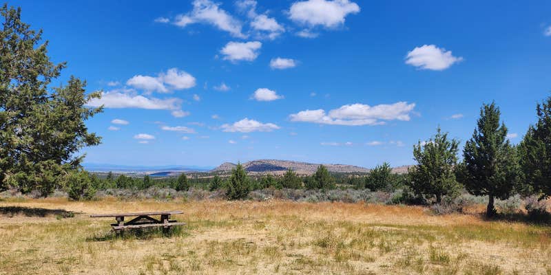 Camper submitted image from Cyrus Horse Camp