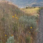 Review photo of Deschutes River State Recreation Area by lee's freelance M., July 16, 2026