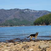 Review photo of Detroit Lake State Recreation Area by Alix J., September 13, 2023