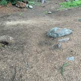 Review photo of Diamond Lake by Les R., November 29, 2025