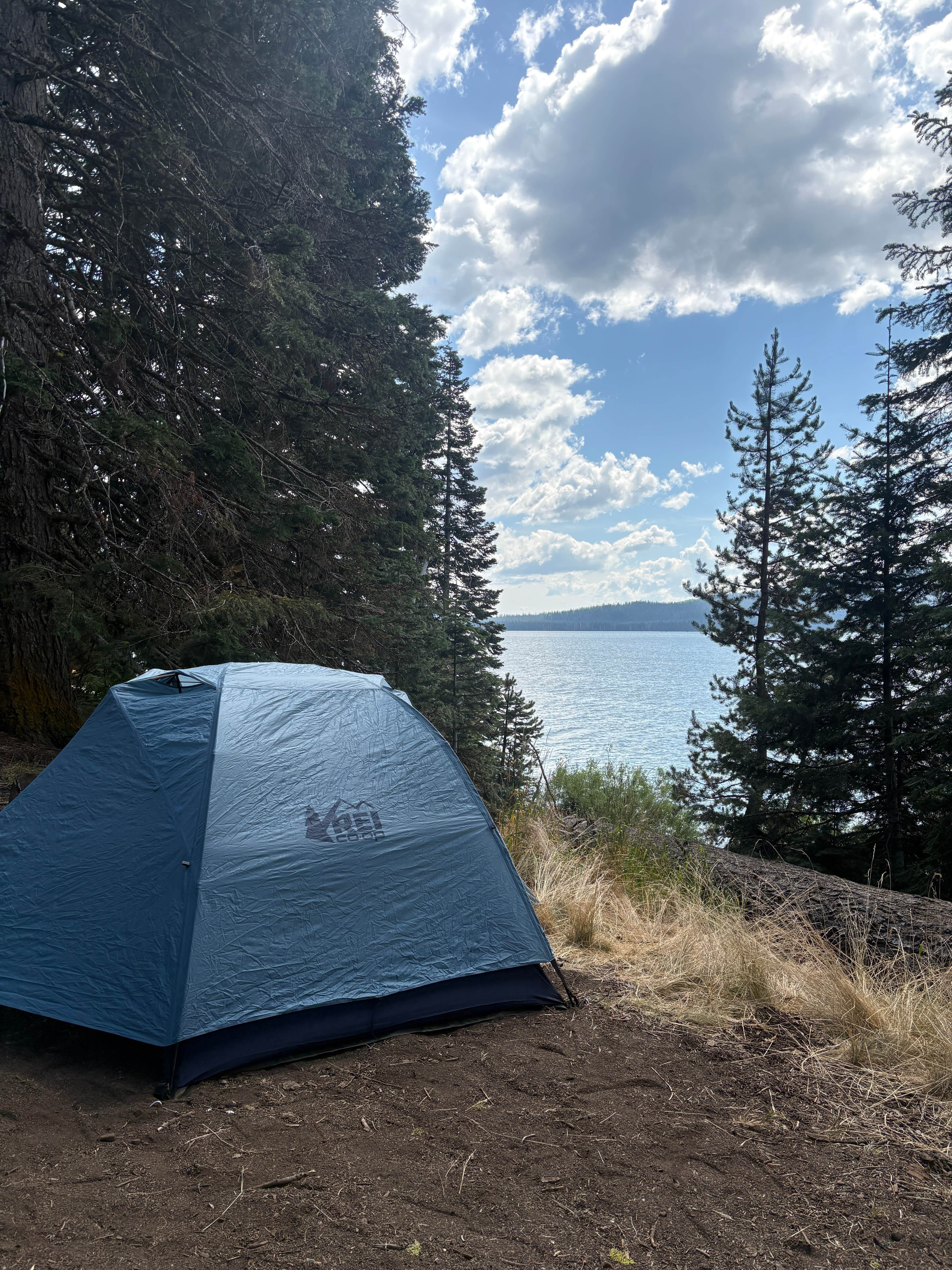 Sierra T.'s photo at Diamond Lake near Chemult, OR