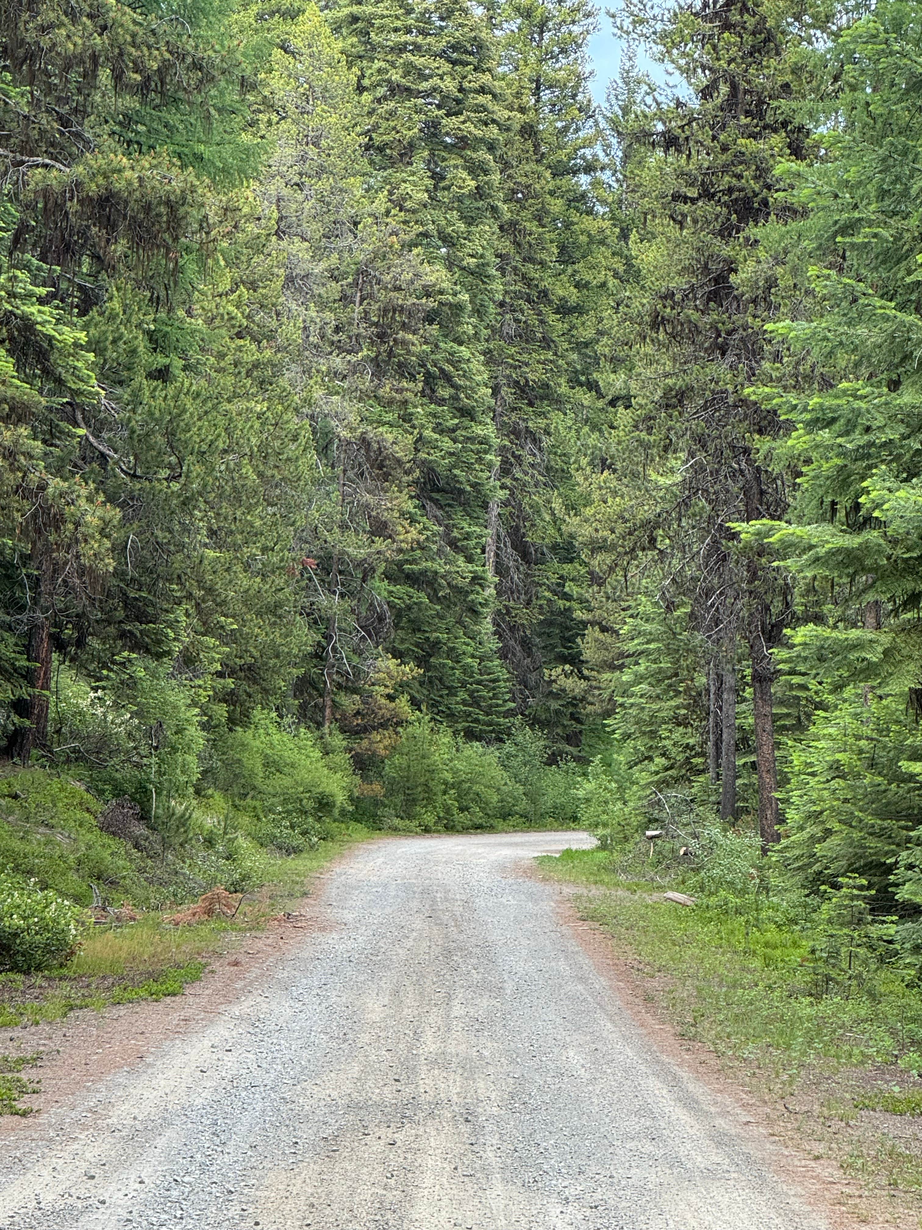 Camper-submitted photo at Dixie Campground near John Day, OR
