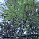 Review photo of Dixie Campground by Brock S., October 1, 2026