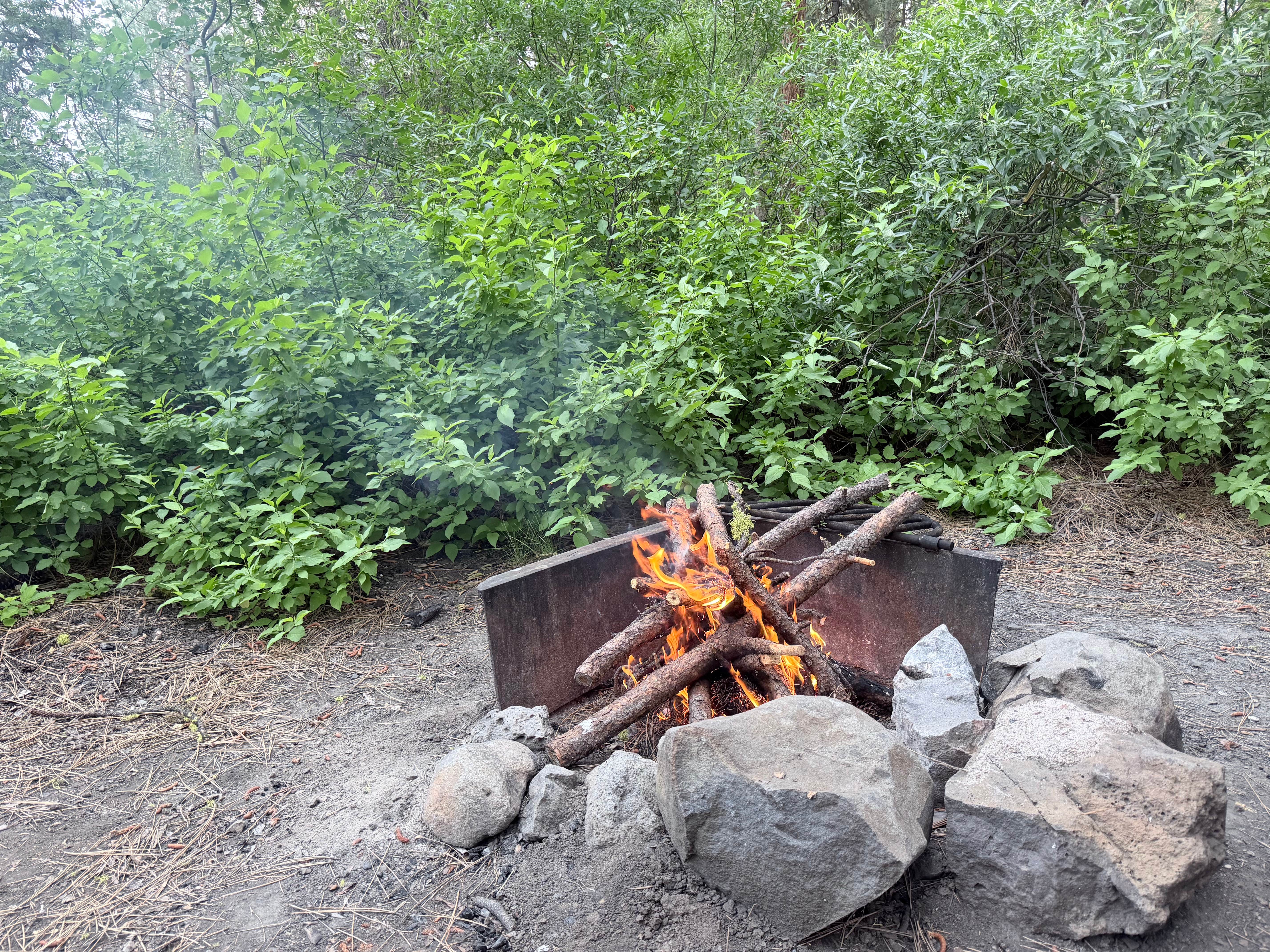 Camping near Wild Goose Meadows RV Park: Drews Creek, Lakeview, Oregon