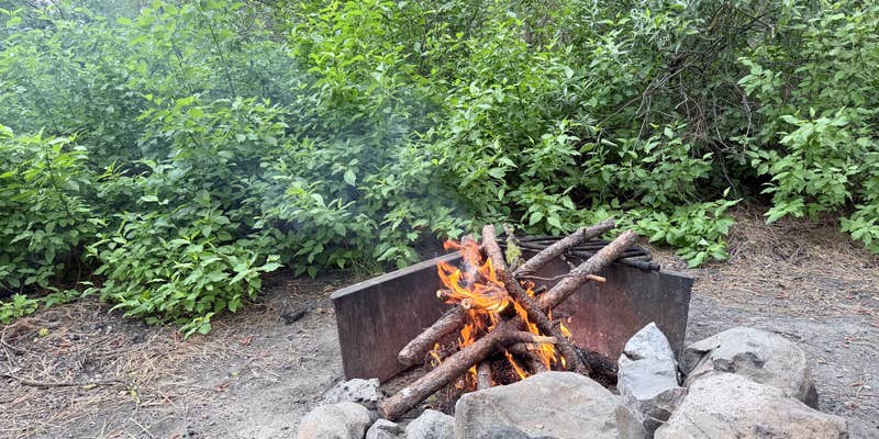 Camper submitted image from Drews Creek