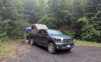 william T.'s photo of tent camping at Dry Lake Horse Camp near Eugene, OR