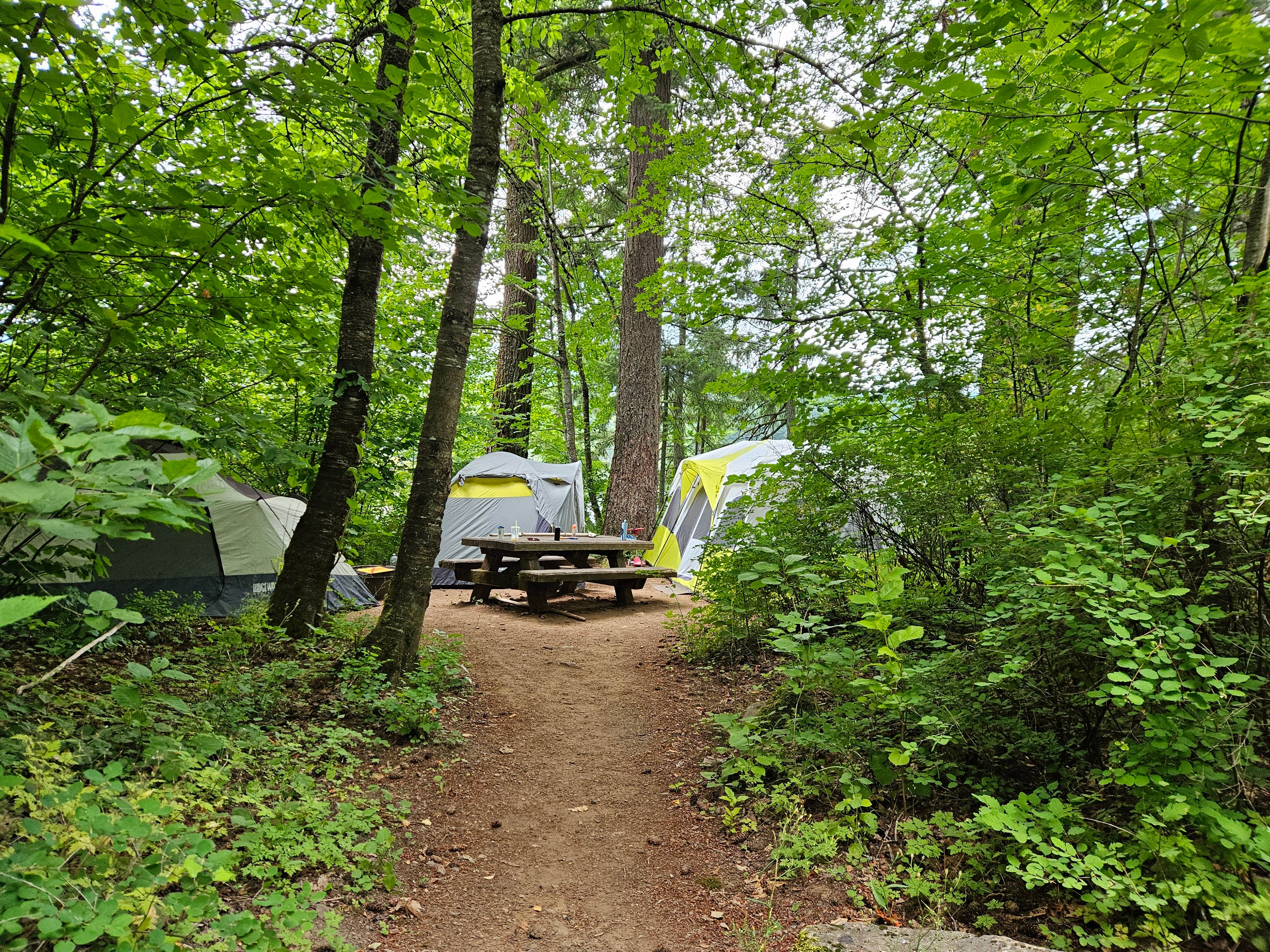 Joshua C.'s photo at Eagle Creek Campground near Cascade Locks, OR