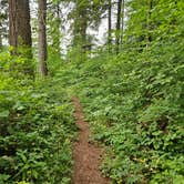 Review photo of Eagle Creek Campground by Joshua C., July 11, 2026