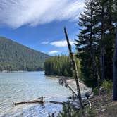 Review photo of East Lemolo Campground by Susan C., June 3, 2025