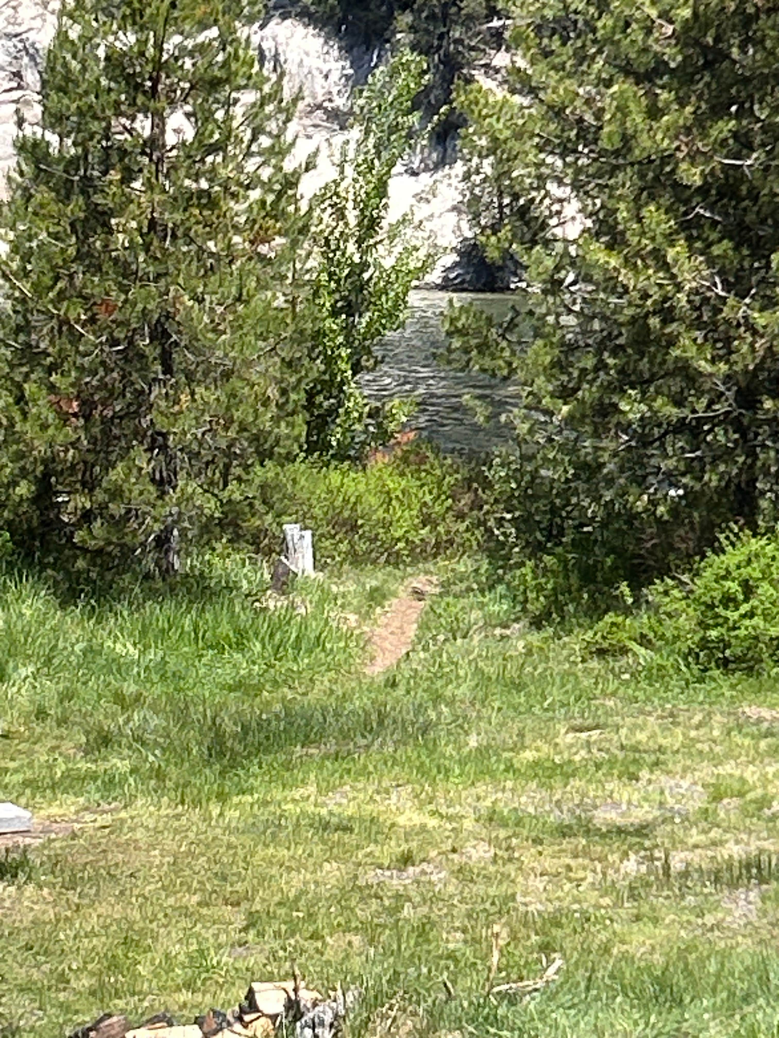 Camper submitted image from East Lemolo Campground - 5