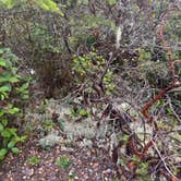 Review photo of Eel Creek Campground by Joleen O., August 12, 2026