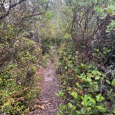 Review photo of Eel Creek Campground by Joleen O., August 12, 2026