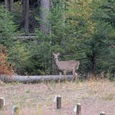 Review photo of Emigrant Springs State Heritage Area by Karen & Alex M., October 17, 2026