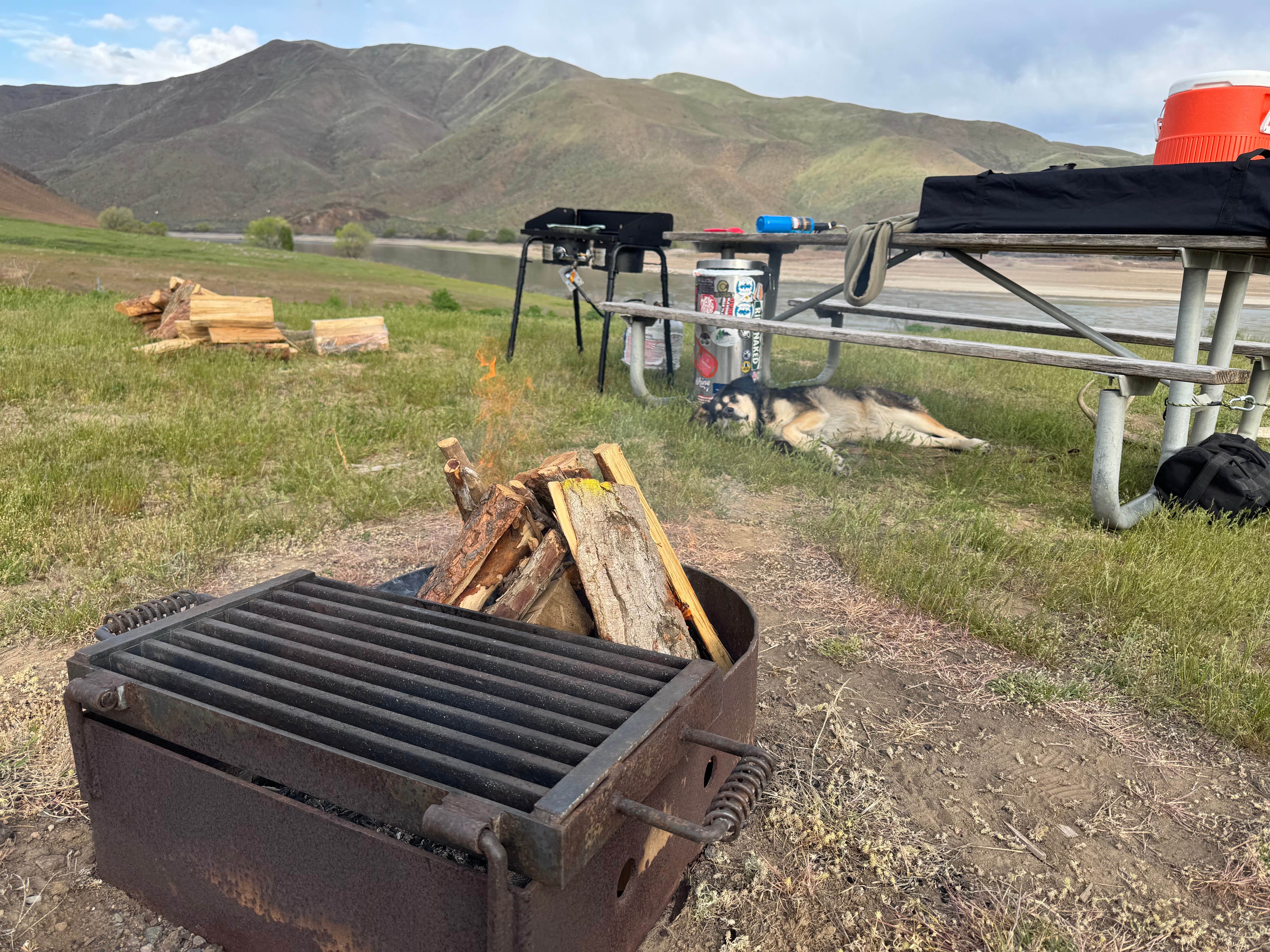 Cable A.'s photo of camping with pets at Farewell Bend State Recreation Area Campground near Ontario, OR