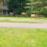 Review photo of Fort Stevens State Park Campground by Marty P., September 21, 2024