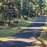 Review photo of Fort Stevens State Park Campground by Marty P., September 21, 2024