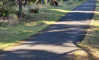 Marty P.'s photo of camping with a horse at Fort Stevens State Park Campground in Oregon