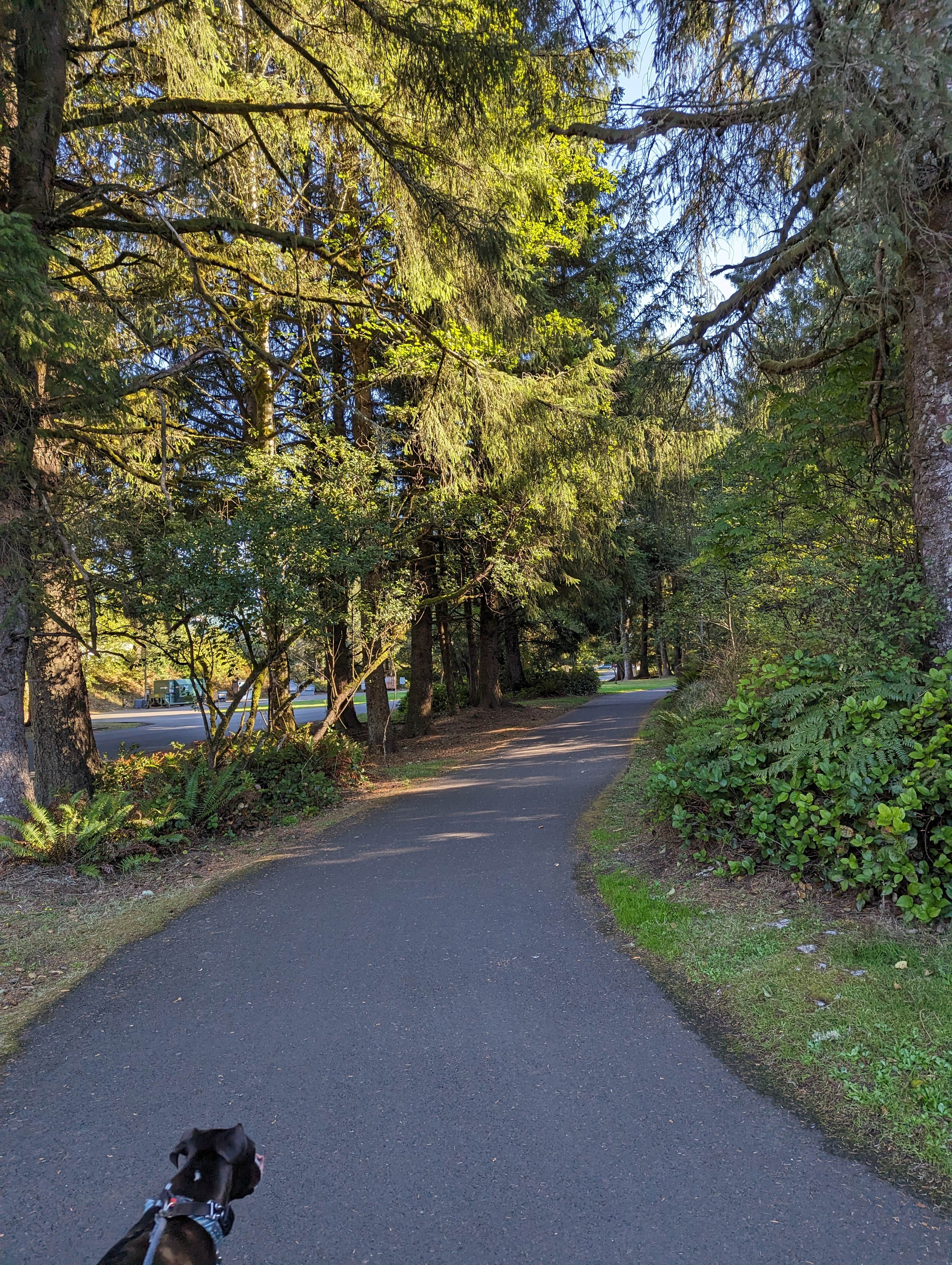 Kristi D.'s photo of camping with pets at Fort Stevens State Park Campground near Cannon Beach, OR